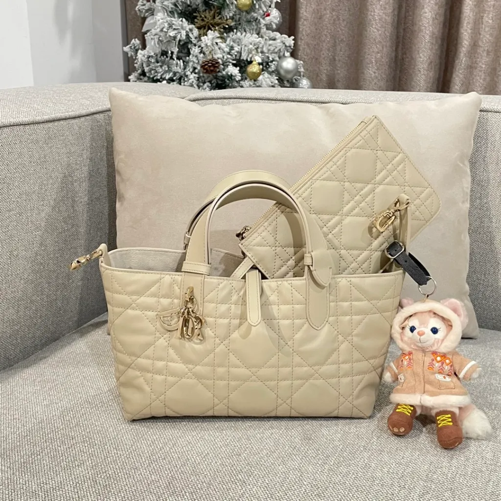 디올 뚜주흐 스몰 백 더스티 아이보리