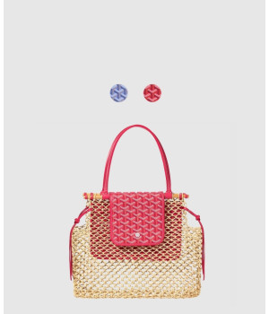 고야드 알리그르 백