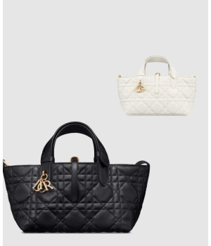 디올 뚜주흐 스몰 토트백 M2822