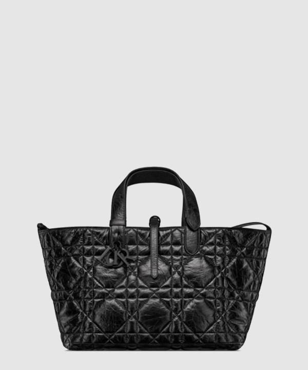 디올 뚜주흐 토트백 미디움 M2821