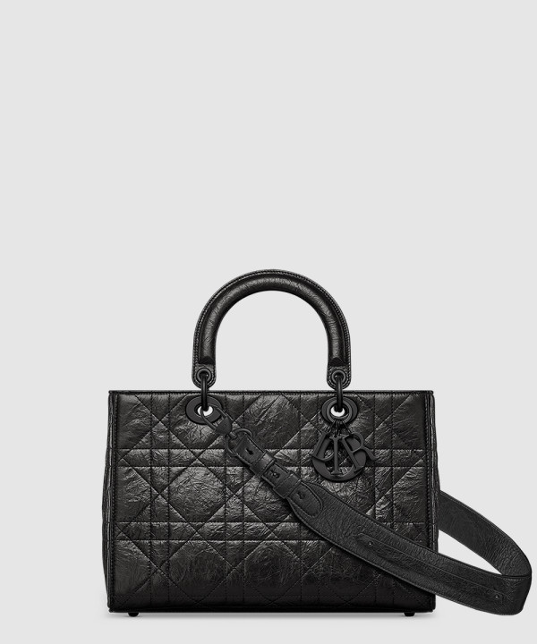 디올 레이디 디자이어 ABC 미디엄백 M1151