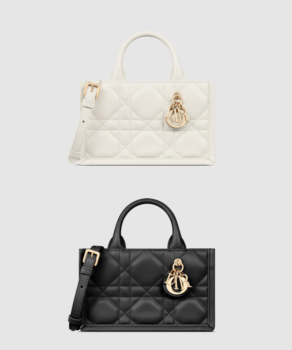 디올 오블리크 북토트백 미니 S5573