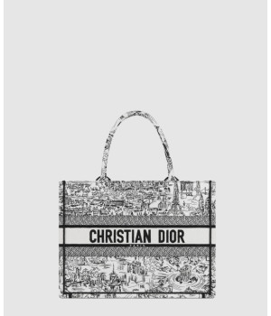 디올 북토트백 미디움 플랜 드 파리 M1296