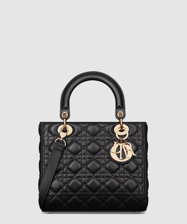 디올 미디움 레이디백 M0565