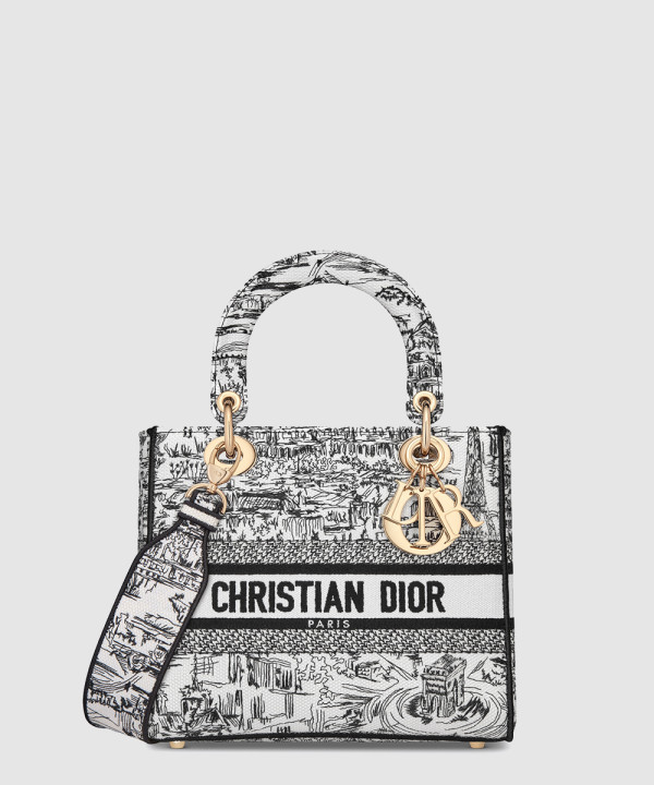 디올 미디움 레이디 디라이트 백 플랜 드 파리 M0565