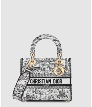 디올 미디움 레이디 디라이트 백 플랜 드 파리 M0565