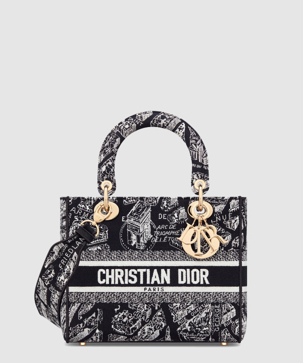 디올 미디움 레이디 디라이트 백 플랜 드 파리 M0565