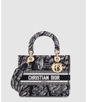 디올 미디움 레이디 디라이트 백 플랜 드 파리 M0565