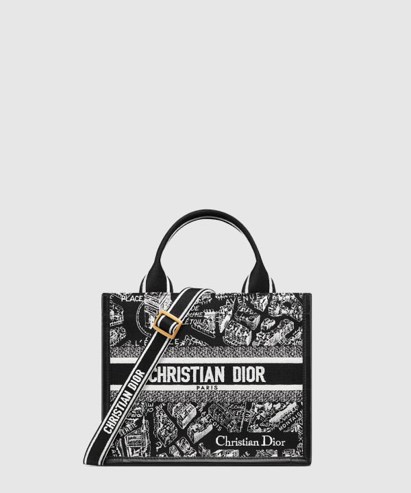 디올 레이디 스몰 북토트백 플랜 드 파리 M1325