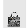 디올 레이디 스몰 북토트백 플랜 드 파리 M1325