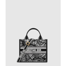 디올 레이디 스몰 북토트백 플랜 드 파리 M1325