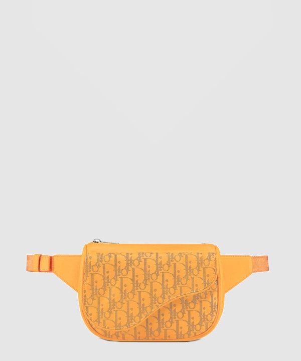 디올 월드 투어 벨트백 1ADPO