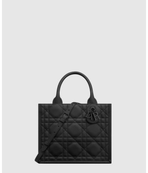 디올 스몰 북토트백 M1325