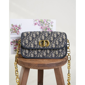 (국내배송) 디올 30 MONTAIGNE AVENUE 몽테인 에비뉴 스몰 백