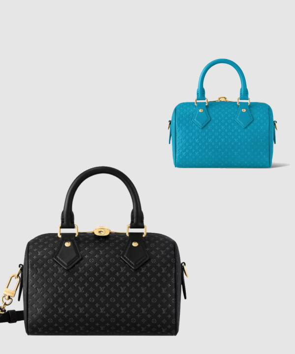 루이비통 스피디 반둘리에 20 M22595