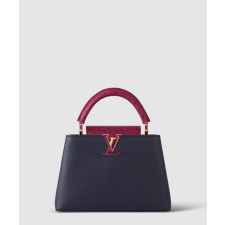 루이비통 카퓌신 BB N83103